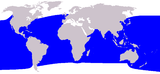 Aire de répartition du Cachalot pygmée