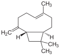 Kariofileno