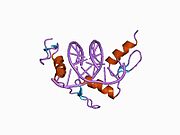 1a1k: RADR (ZIF268 VARIANT) ZINC FINGER-DNA COMPLEX (GACC SITE)