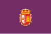 Bandera de Burgos