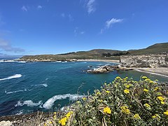 Northward view of Spooner's Cove via Bluff Trail, with Morro Bay in the distance. June 12, 2021