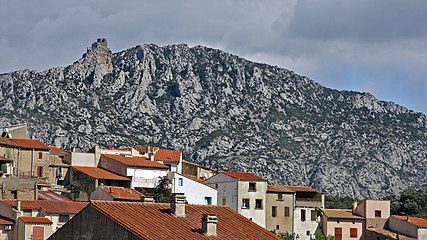 Le château de Quéribus domine Maury