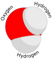 Image 10A water molecule consists of two hydrogen atoms and one oxygen atom. (from Water)