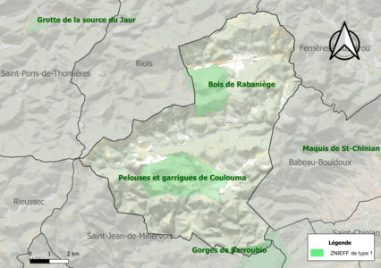 Carte des ZNIEFF de type 1 sur la commune.