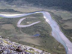 Meandroak eta adar hila (Eskandinavia).