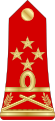 Général de corps d'armée (Madagascar Ground Forces)[10]