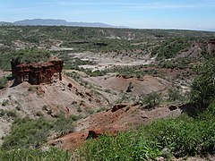 Olduvai ecor, debak ke jontiki seri