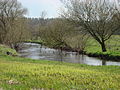 Örtze meadows near Oldendorf