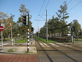 Tramsporen op de Burgemeester Röellstraat