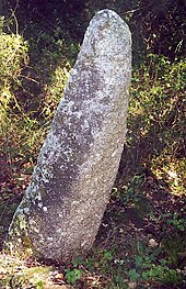 Menhir de Medost