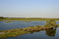 雲嘉南濱海國家風景區