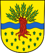 Widnau – znak