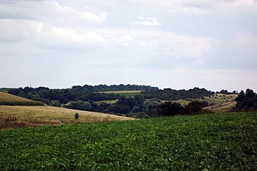 Матвіїв Яр (заповідне урочище)