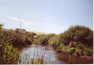 À l'approche de la mer, au fond les dunes.