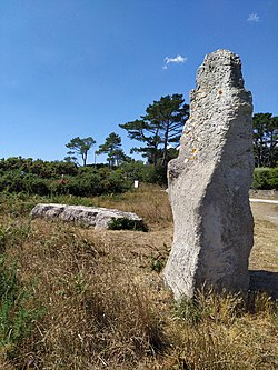 Image illustrative de l’article Menhir de la Républicaine