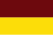 Vlag van Tolima