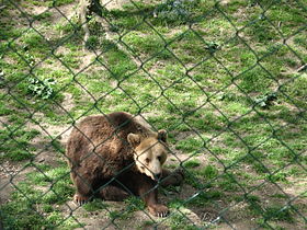 Image illustrative de l’article Zoo de Košice