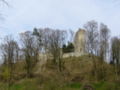 Ruins of Mammern Neuburg Castle