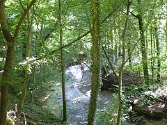 Die Murg oberhalb von Murgenthal