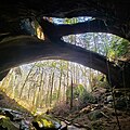 Image 42The Natural Bridge Rock in Winston County is the longest natural bridge east of the Rockies. (from Alabama)