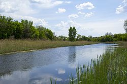 Кильчень у города Подгородное