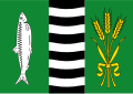 Vlag van Delfshaven