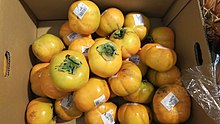 Persimmon Rendaiji.jpg