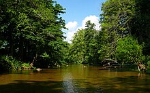 Watauga River-27527.jpg