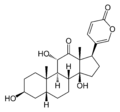 Structure of arenobufagin