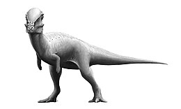 A Pachycephalosaurus rekonstrukciója