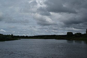 Сож у Слаўгарадскім раёне