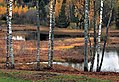 Vaskna järve kaldapealne Suure Munamäe jalamil