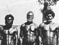 Image 42Men from Bathurst Island, 1939 (from Aboriginal Australians)