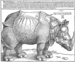 Le Rhinocéros de Dürer est caractéristique par la corne de licorne ajoutée sur le dos, la carapace couvrant l'animal, les pattes portant des écailles de reptile, les pattes d’oiseau et la queue d’éléphant.