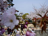 城山公園（愛媛県松山市）