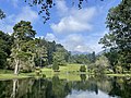 Kolam besar di Kebun Raya Cibodas