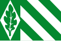 Vlag van Vriezenveen