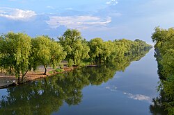 Река около села Житиште в Среднем Банате, Сербия