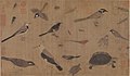 Image 17Description of rare animals (写生珍禽图), by Huang Quan (903–965) during the Song dynasty (from History of biology)