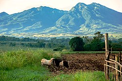 Pegunungan Kitanglad, Bukidnon