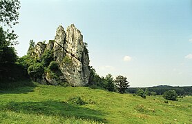 Castillo de Łutowiec