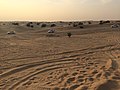 Off-road vehicles in deserts of Sharjah.