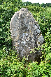 Menhir de Treffier