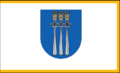 Vlag van Druskininkai