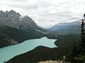 Peyto Lake in the Canadian Rockies