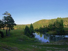 Салаирский Кряж, в районе реки Талмовой.