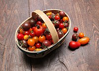 Panier de tomates cerises de différentes variétés.