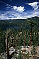 Huntington Lake, shot on 35mm Velvia 50