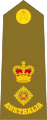 Australian Army (Lieutenant Colonel)