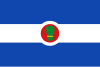 Flag of Bagüés